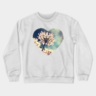 Queen Annes Lace flowers Crewneck Sweatshirt